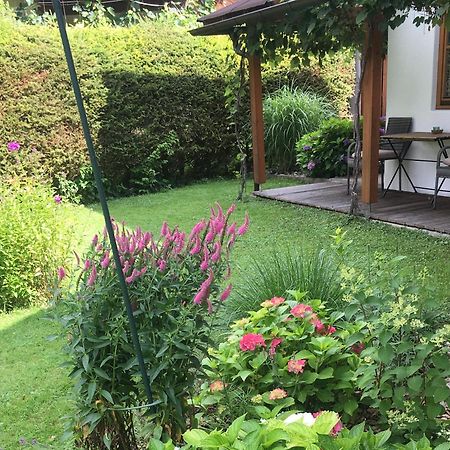Apartment Oberdorf Breitenbach am Inn Dış mekan fotoğraf